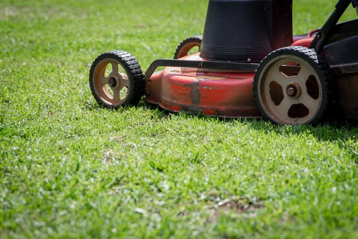 Freshly mowed and edged lawn at a home in Coorparoo